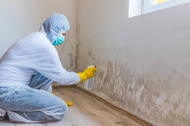 Best Mold Remediation Services  in Freeman, SD