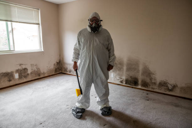Best Mold Cleaning Services  in Freeman, SD